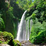 Sendang Gila dan Tiu Kelep Waterfall Lombok