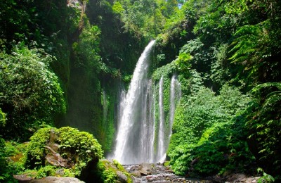 Sendang Gila dan Tiu Kelep Waterfall Lombok