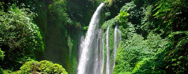 Sendang Gila dan Tiu Kelep Waterfall Lombok