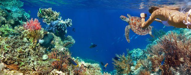 Gili Nanggu Underwater. Credit by https://www.giftsforyourhoneymoon.com/Honeymoon-Registry-236504-Bali-Lorina-Cacoilo-Manuel-Almeida.html