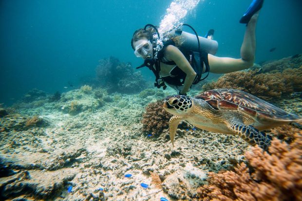 Gili Trawangan Underwater. Credit by https://www.tommyschultz.com/blog/gili-trawangan-turtles/